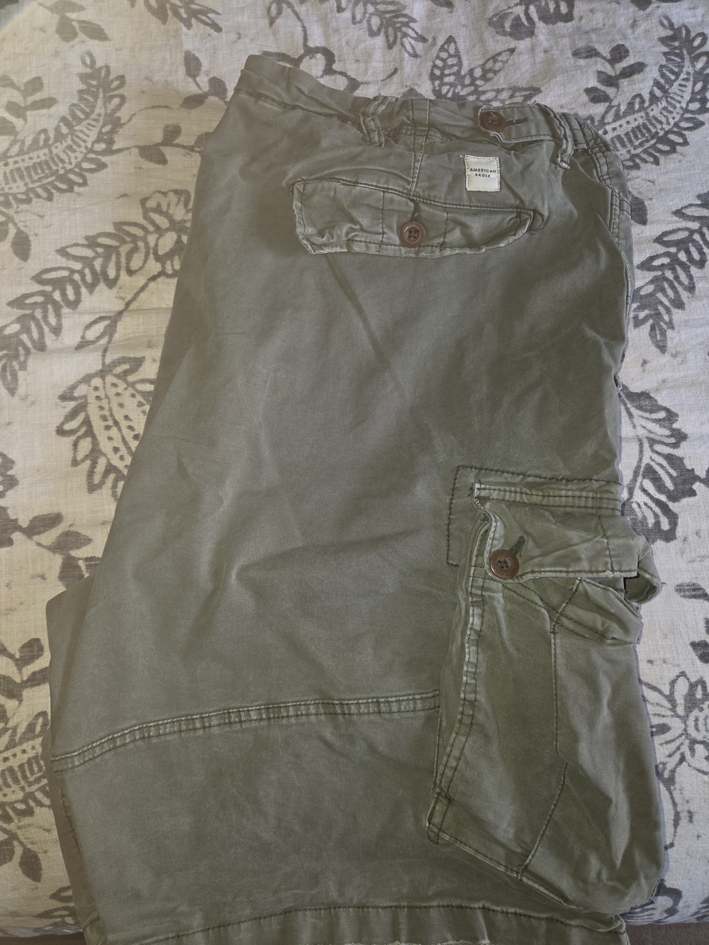 American Eagle Outfitters Olive Cargo Pants